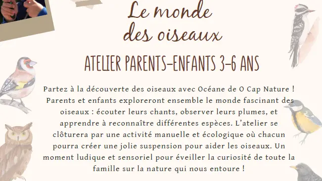 Atelier parent-enfant : l'été des petits explorateurs 3/6 ans_Faverges-Seythenex