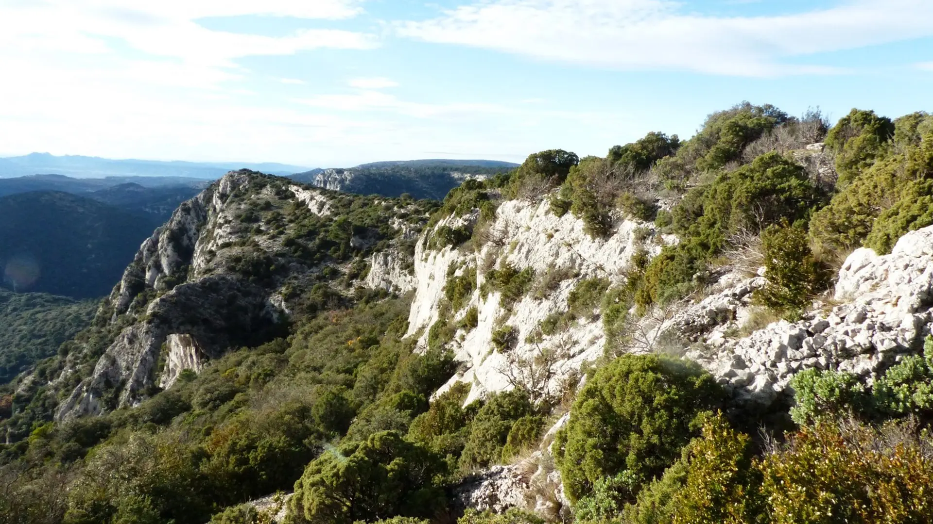 Mattoral à Genévrier de Phénicie au Portalas