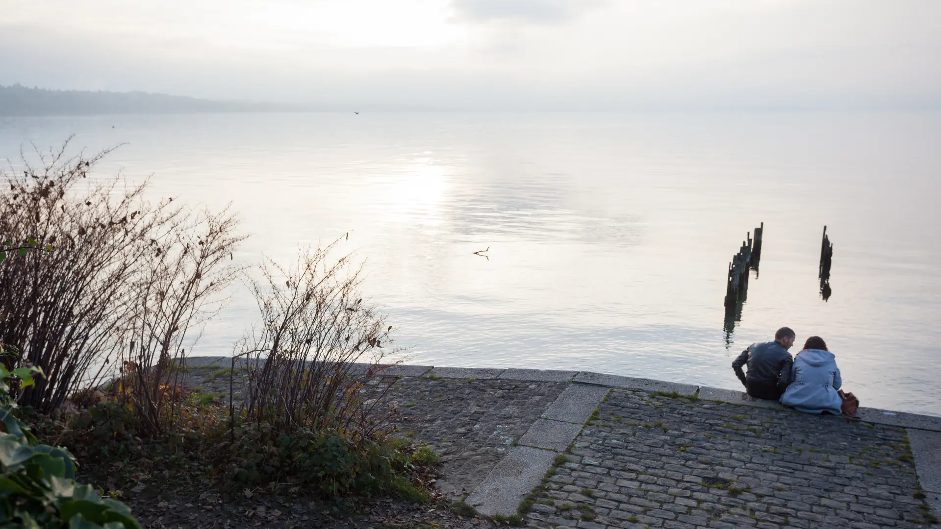 Sentier de la Pinede