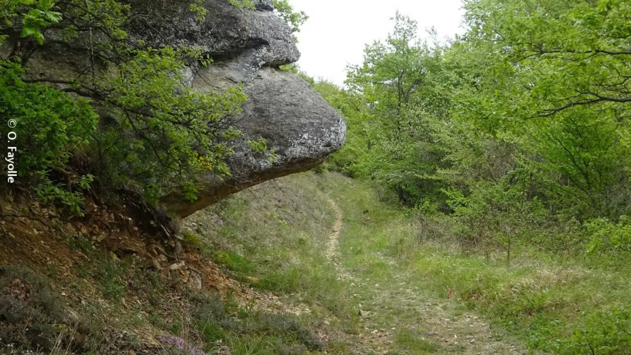 Entre bois et ravins