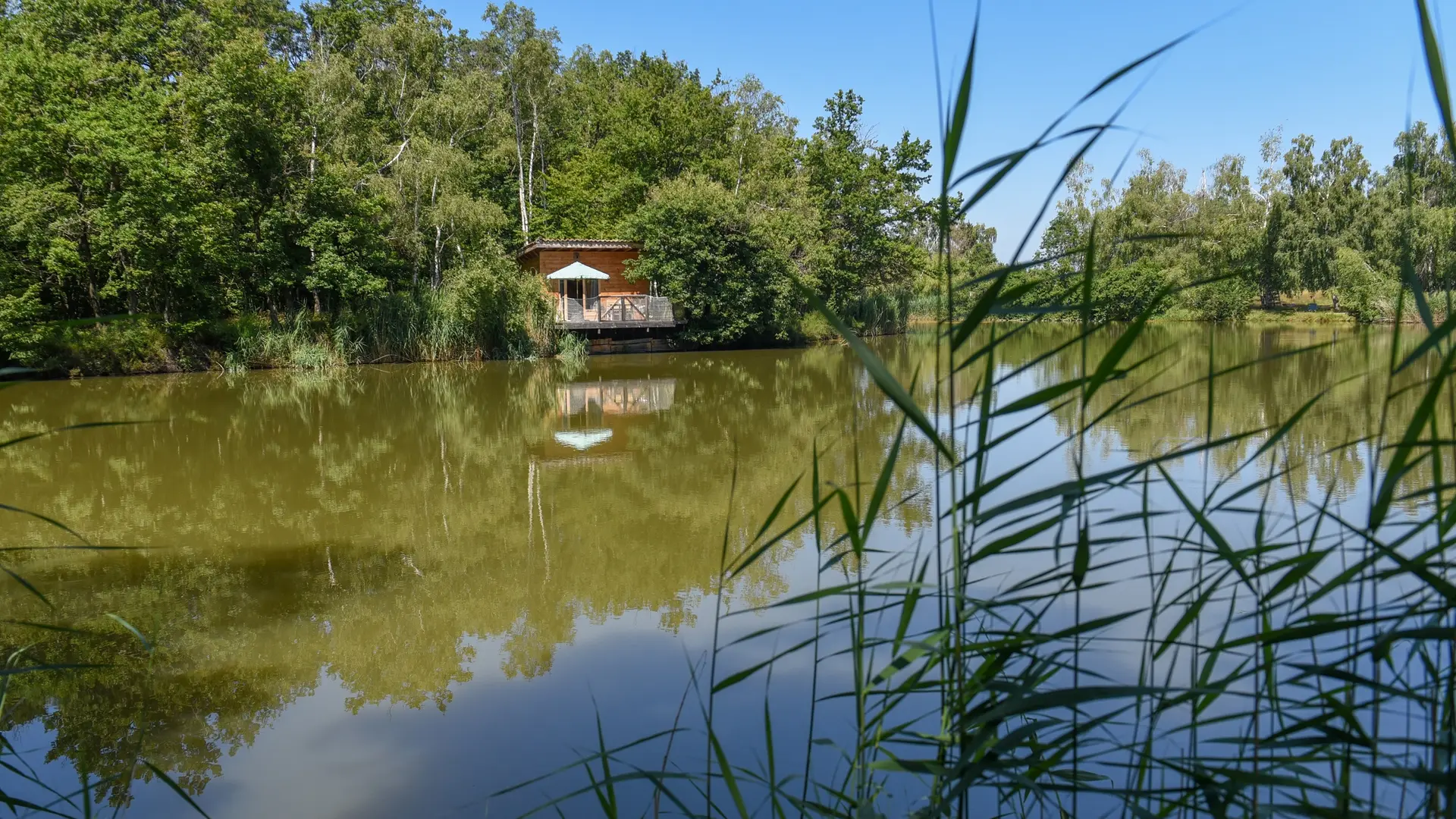 Cabane Home des bois