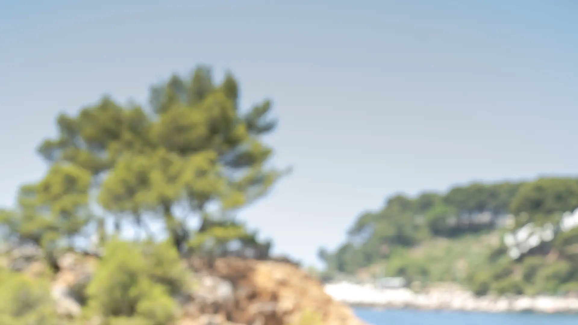 Le Méditerranée_Bandol