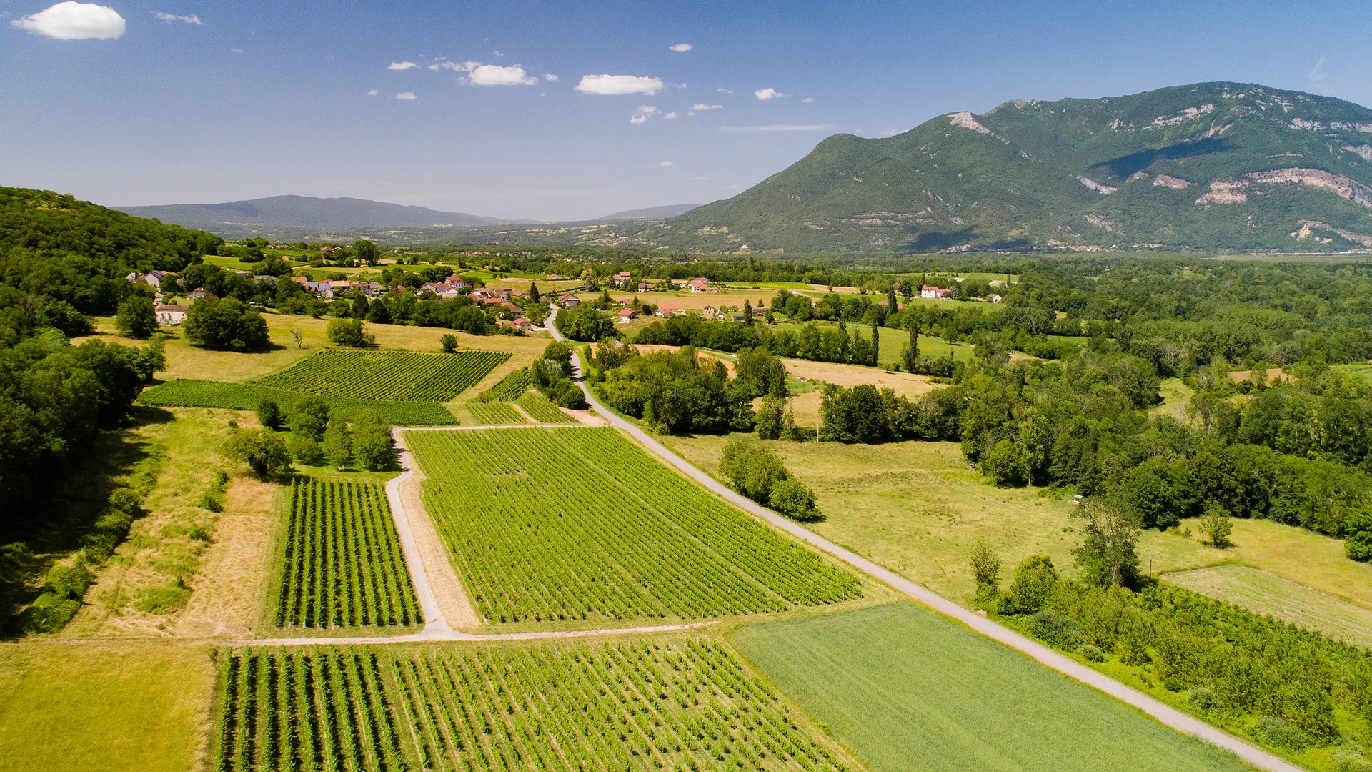 Circuit vélo : Lacs et vignes_Belley
