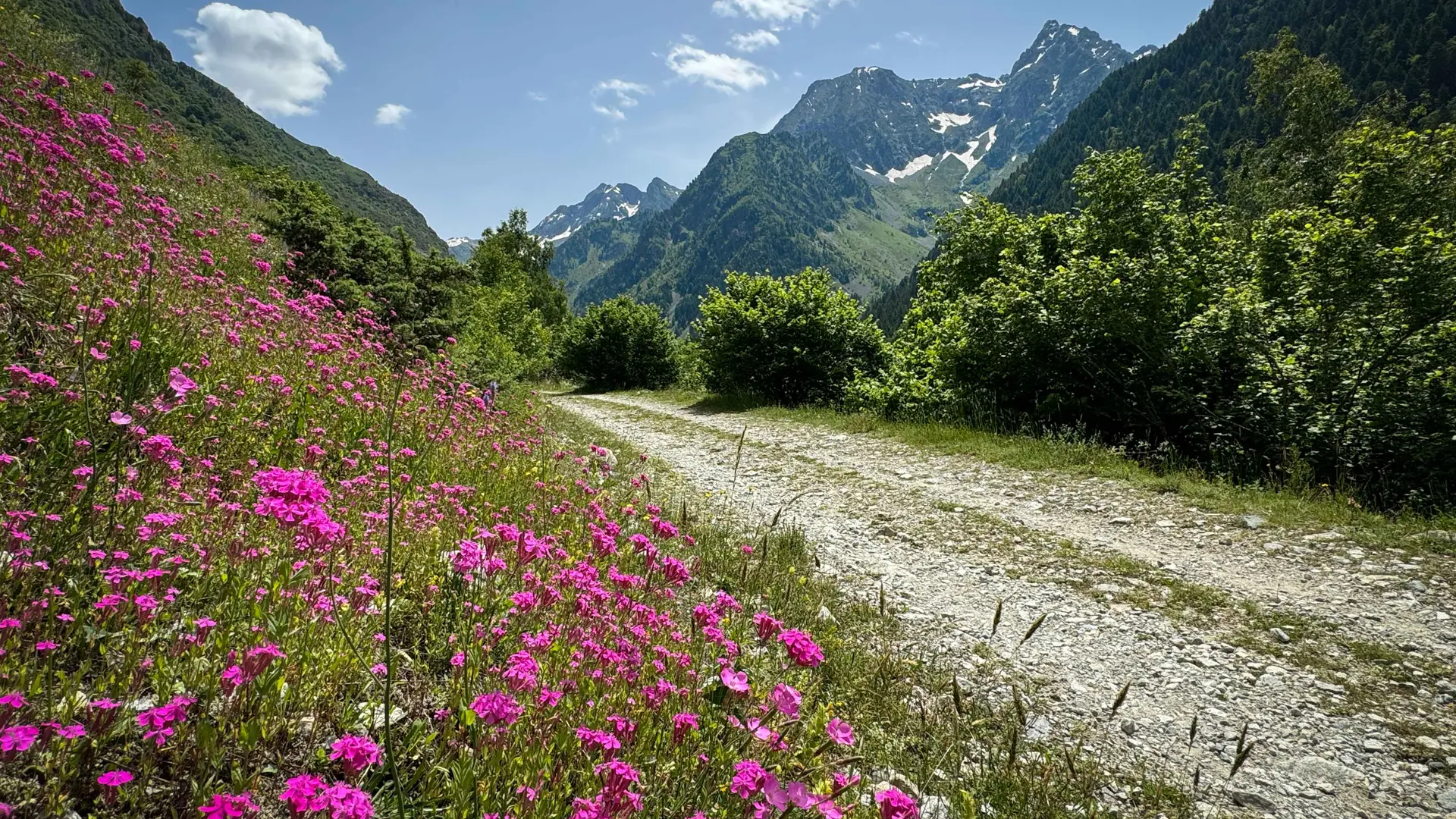 Randonnée dans le vallon de Prentiq Valgaudemar