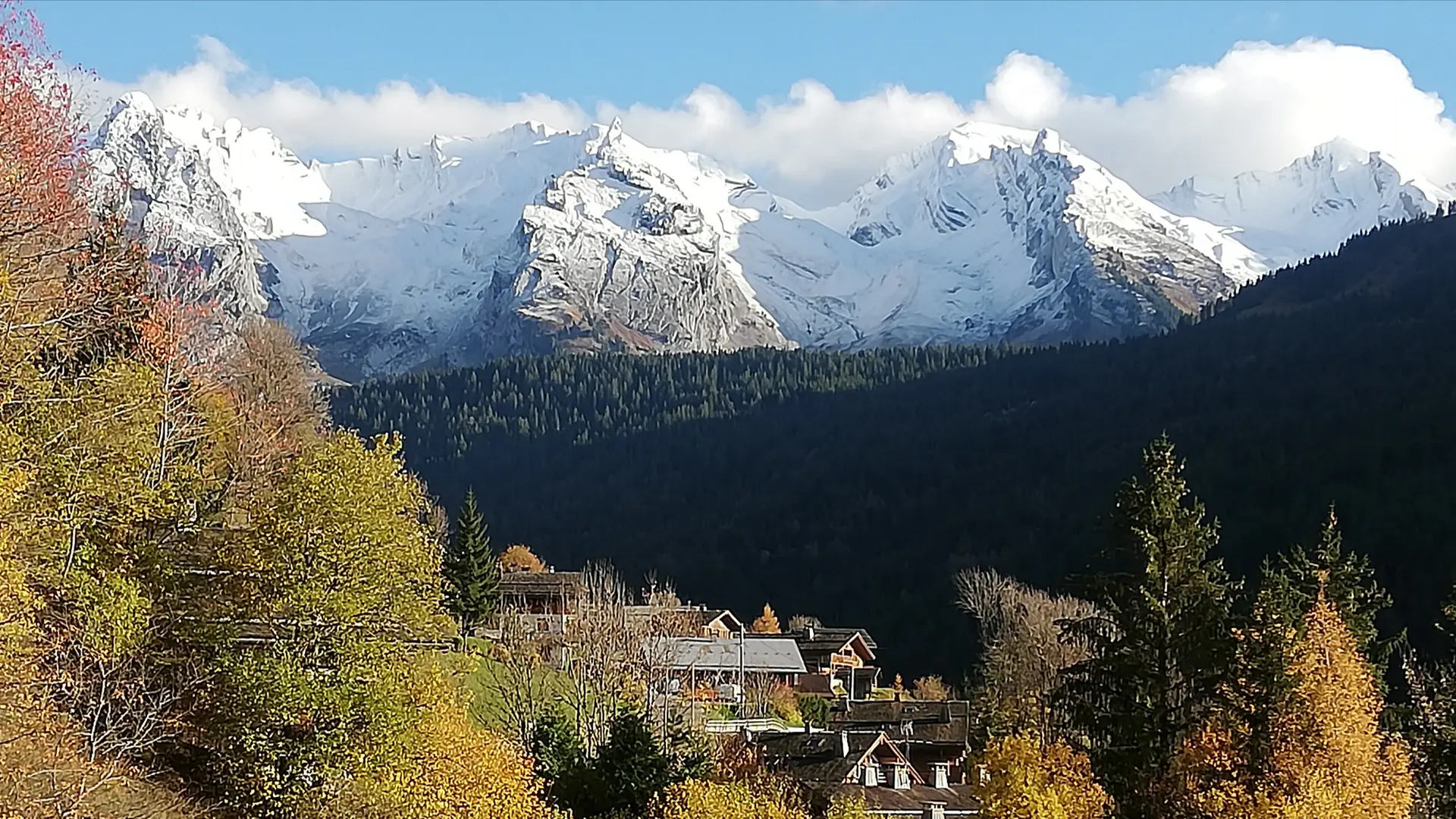 Vue