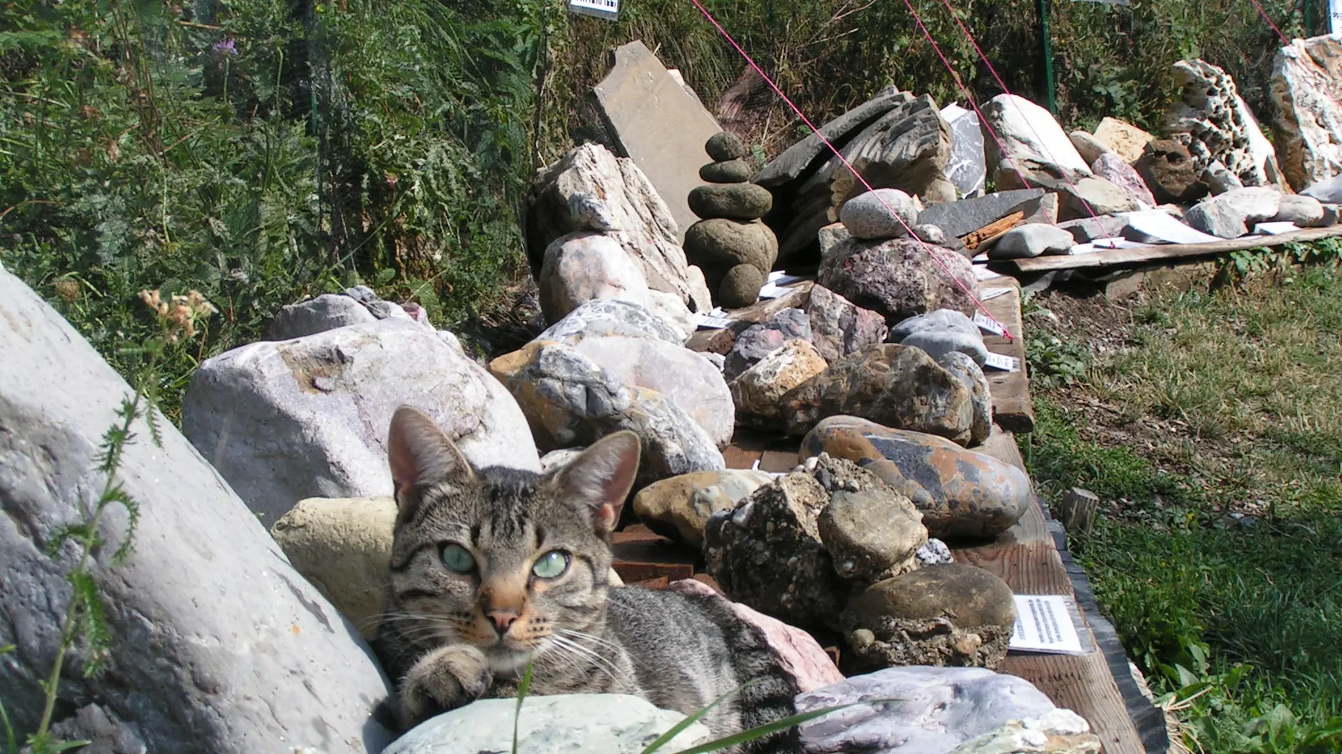 La Ferme de Téthys - Art et Géologie CROTS