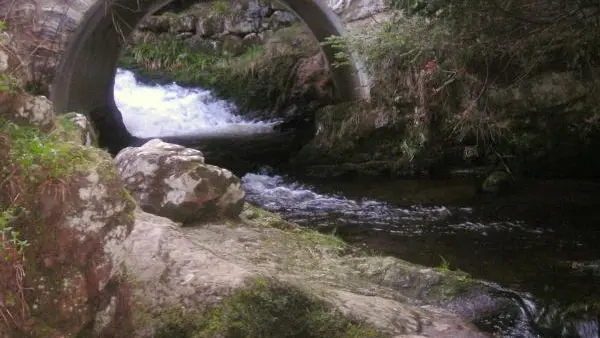 Source d'eau ferrugineuse à Chorsin