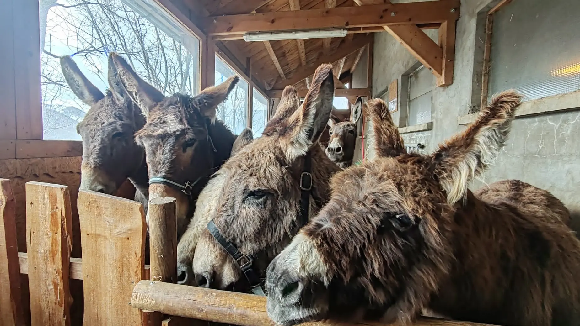 La Ferme Tout là Ô_Orcières