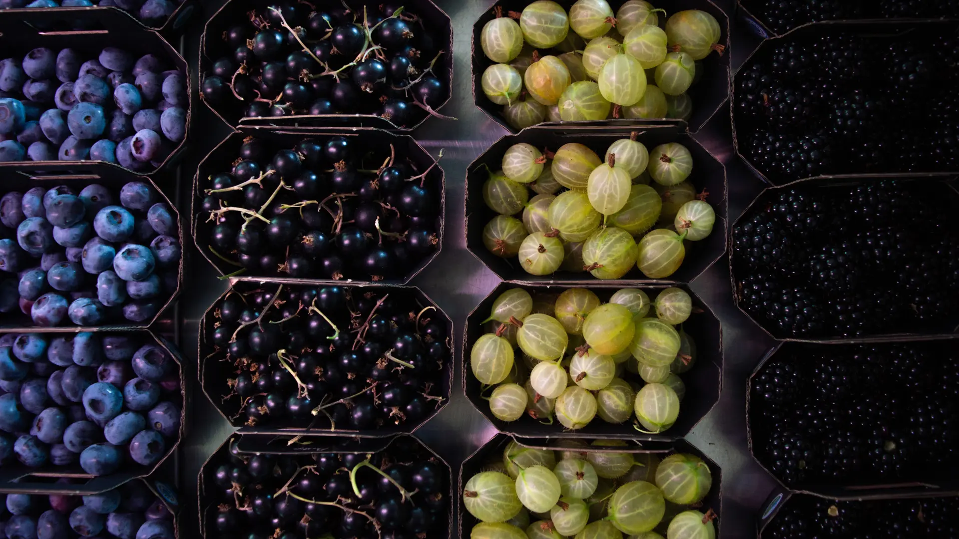 Petits fruits rouges