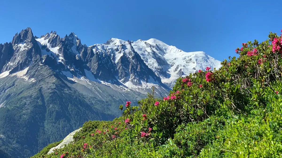Aiguillette d'Argentière