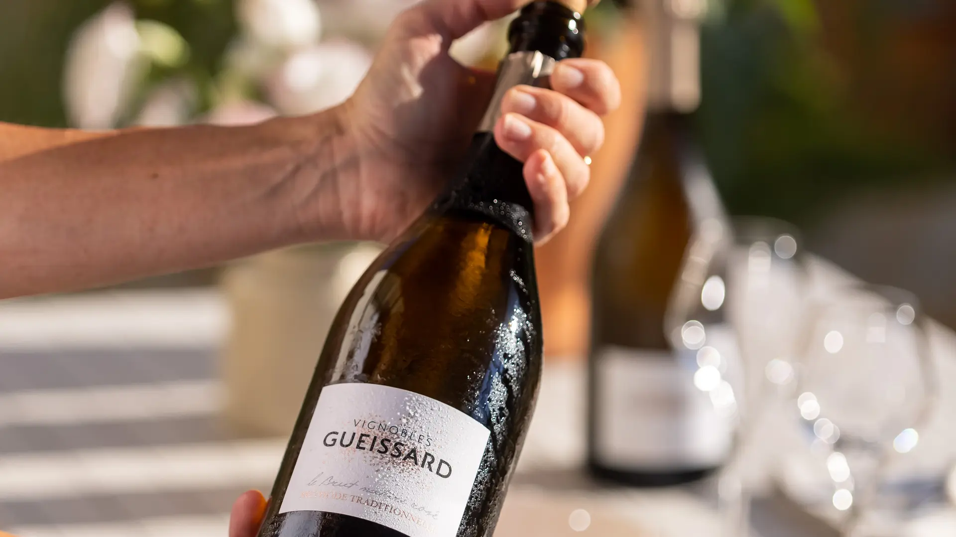 Les vignobles Gueissard