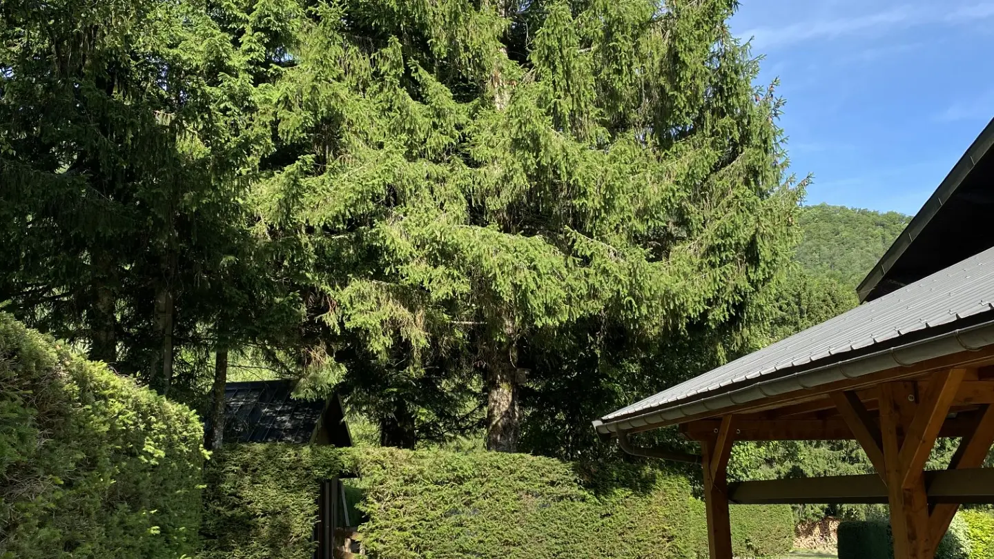 esapce jardin et salon de jardin