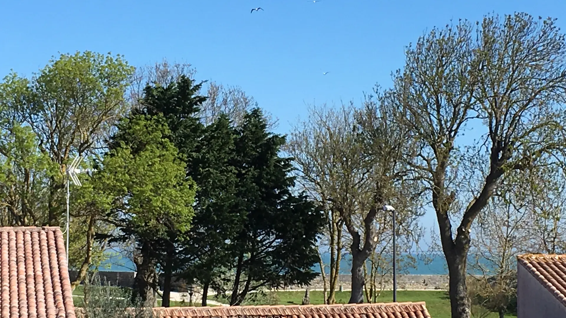 Aperçu sur l'océan