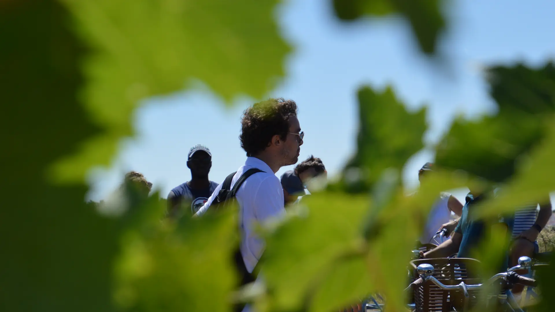 Notre guide, Jean, présentant le patrimoine viticole richissime du territoire français