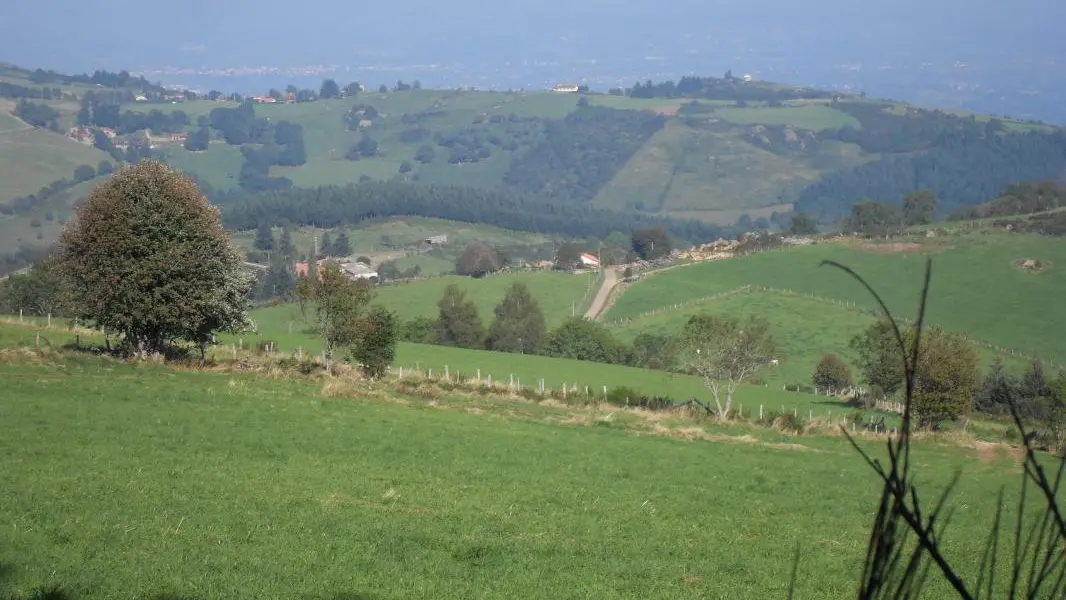 Du plateau des Pras : vue sur la colline du 