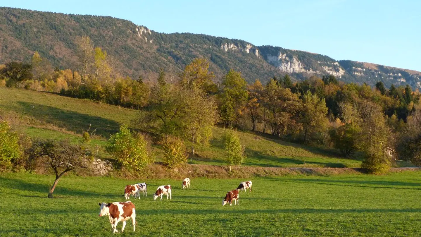 Vue sur le Semnoz depuis la terrasse