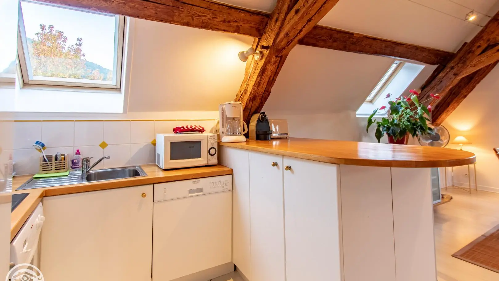 Cuisine ouverte sur pièce de vie