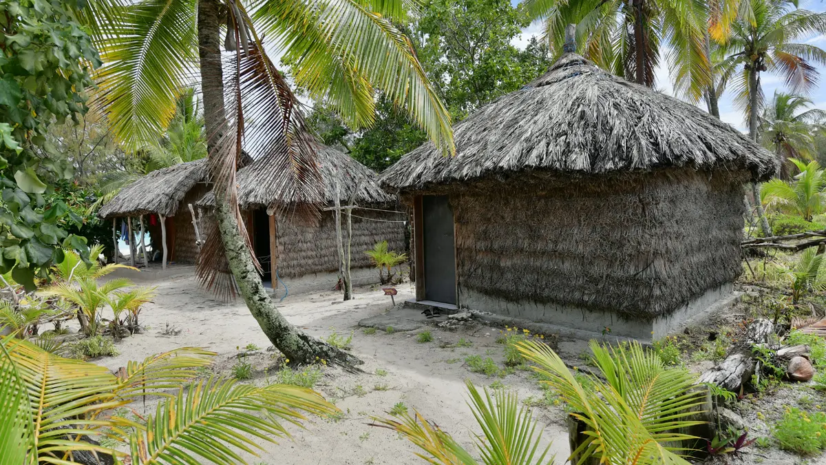 Thatched huts