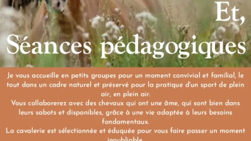 Randonnée équestre avec Equus Pleine Nature