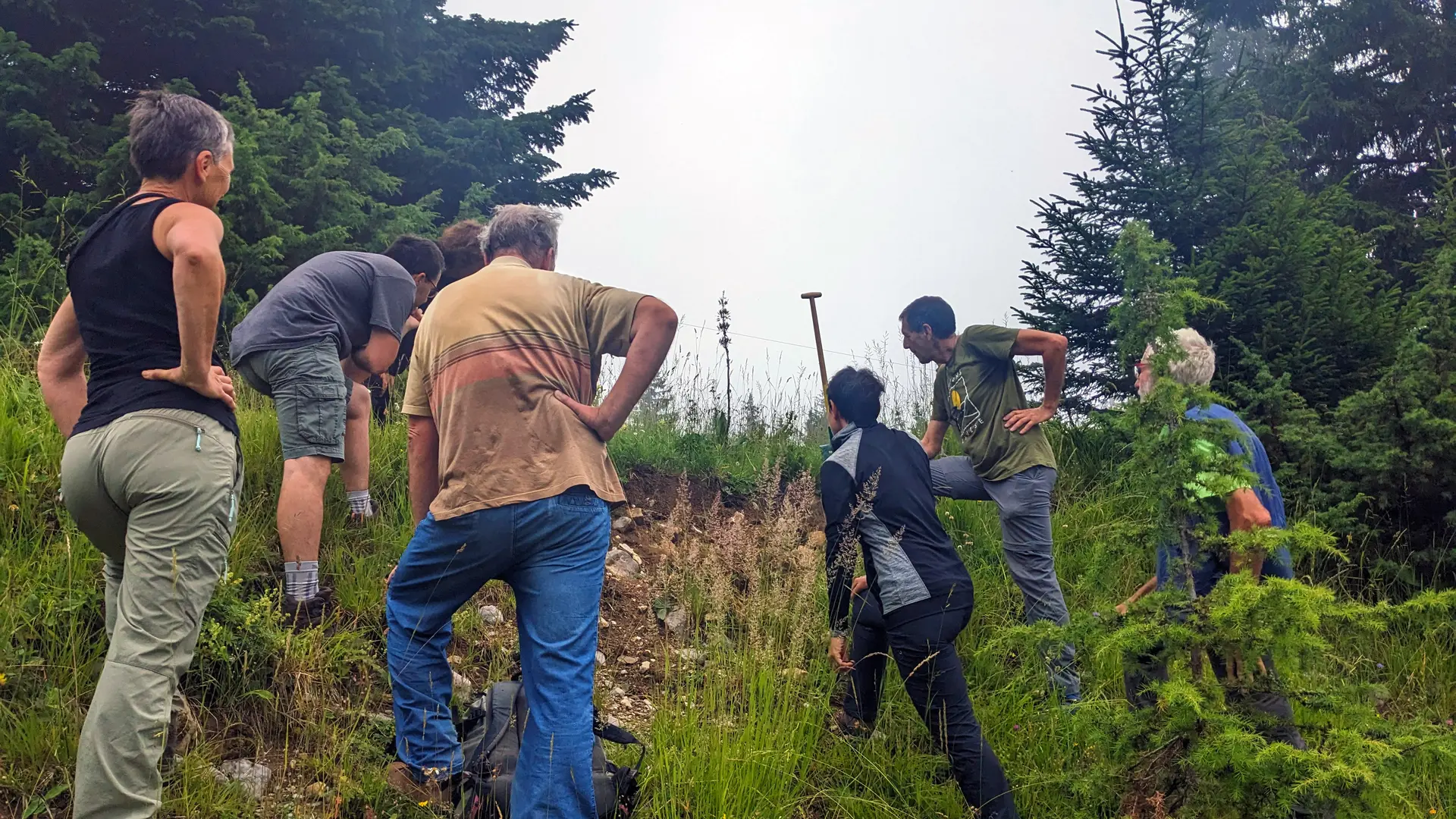 Chantiers nature de lutte contre les plantes invasives