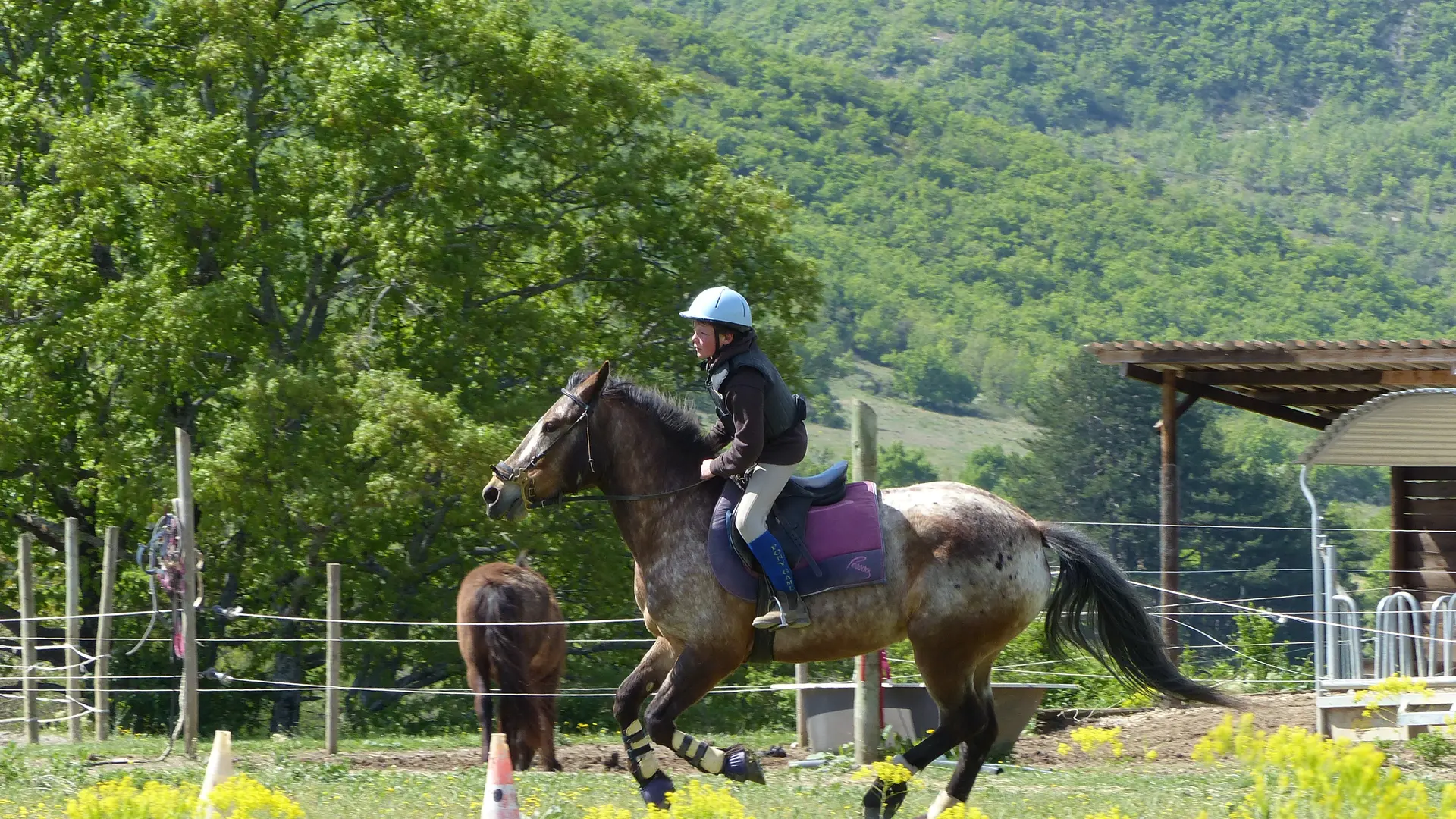 Le Poney Club du Thor à Sisteron