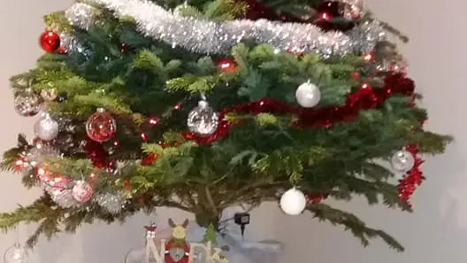 Le salon se pare de sa décoration de Noël