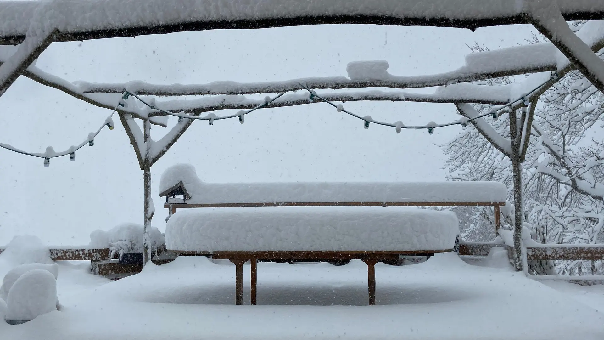 Neige