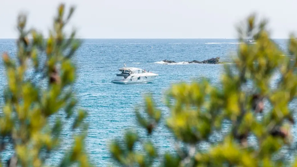 Sentier des douaniers (Sentier du littoral)