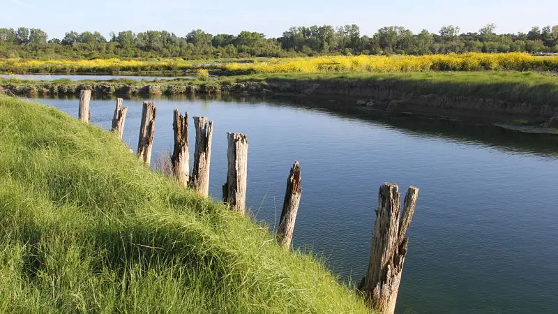 Bassin avec rondins - Ferme des Baleines