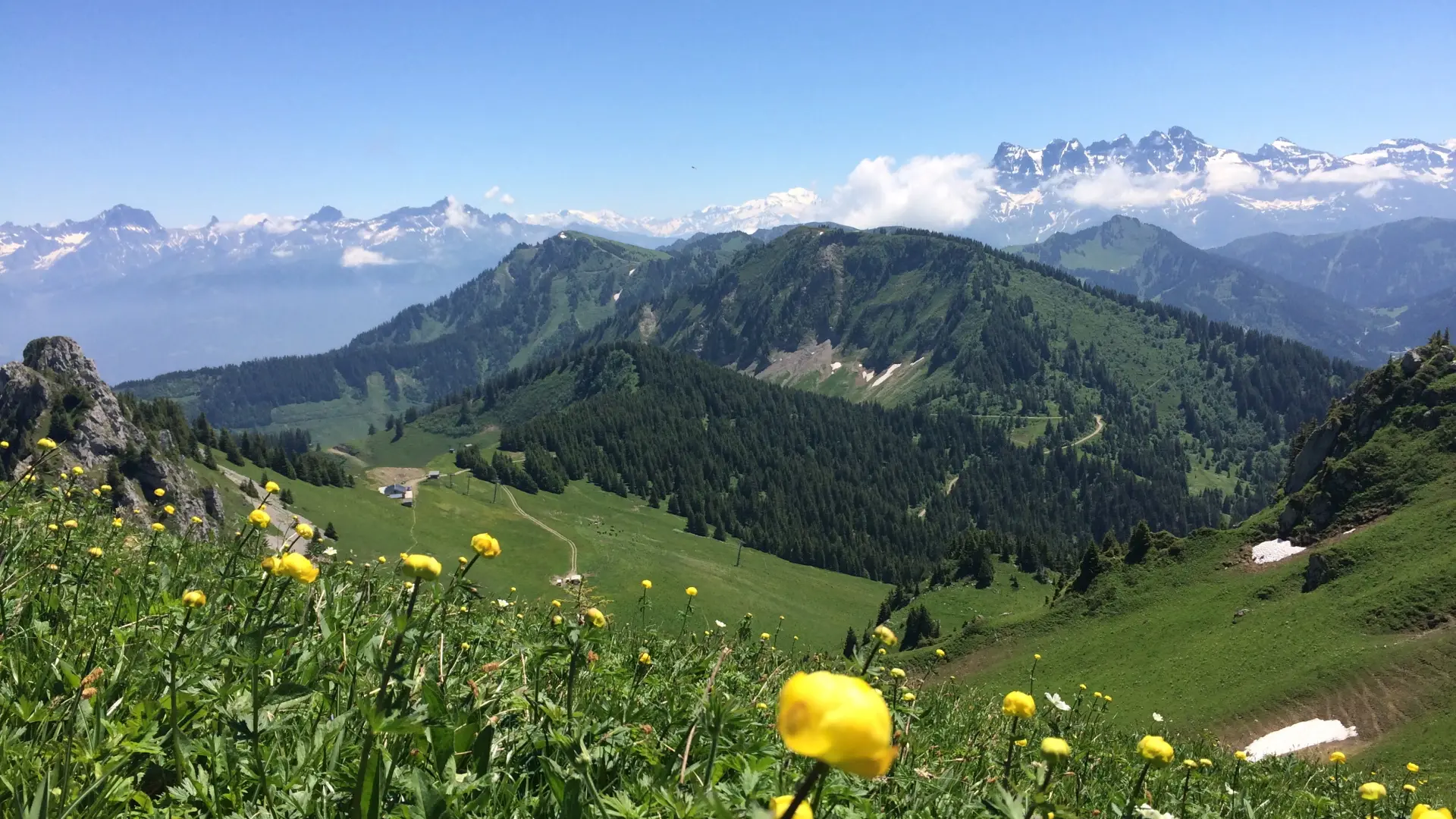 View on the Dents du Midi