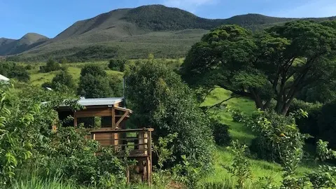 Oasis des possibles - Dumbéa