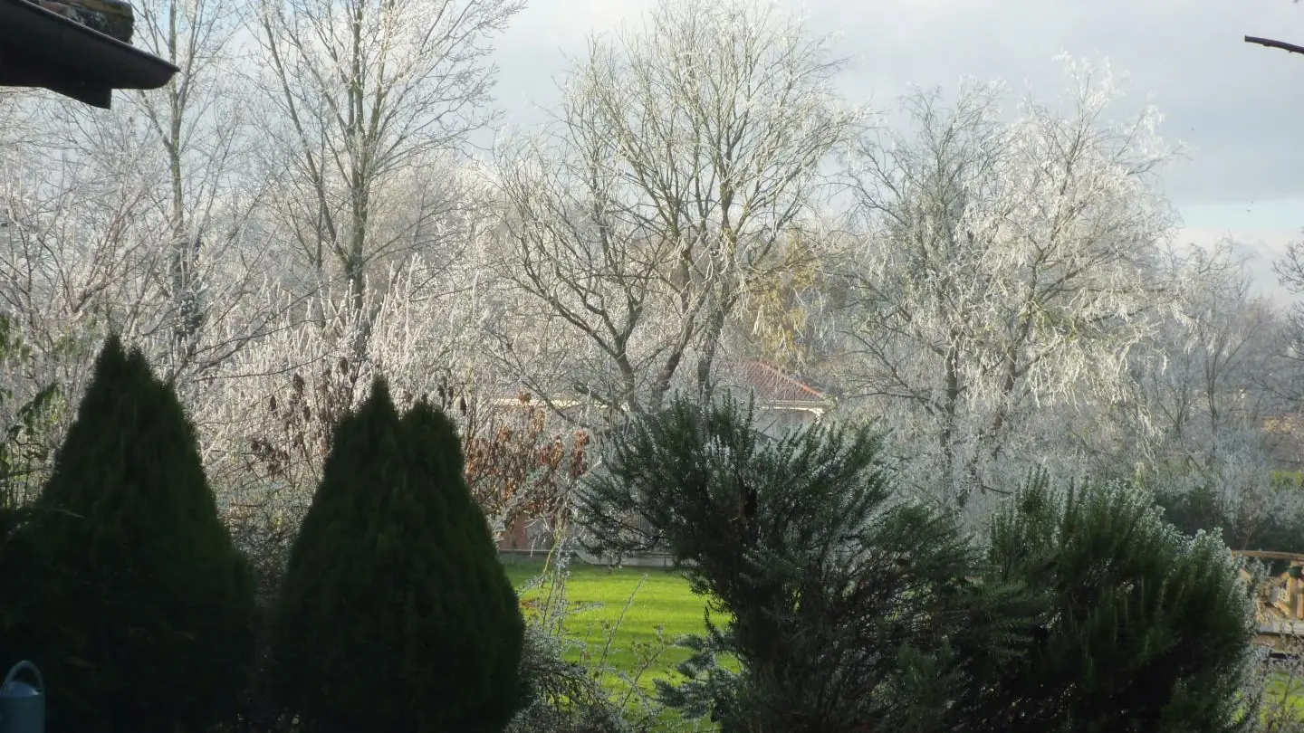 le jardin en hiver, sous le givre