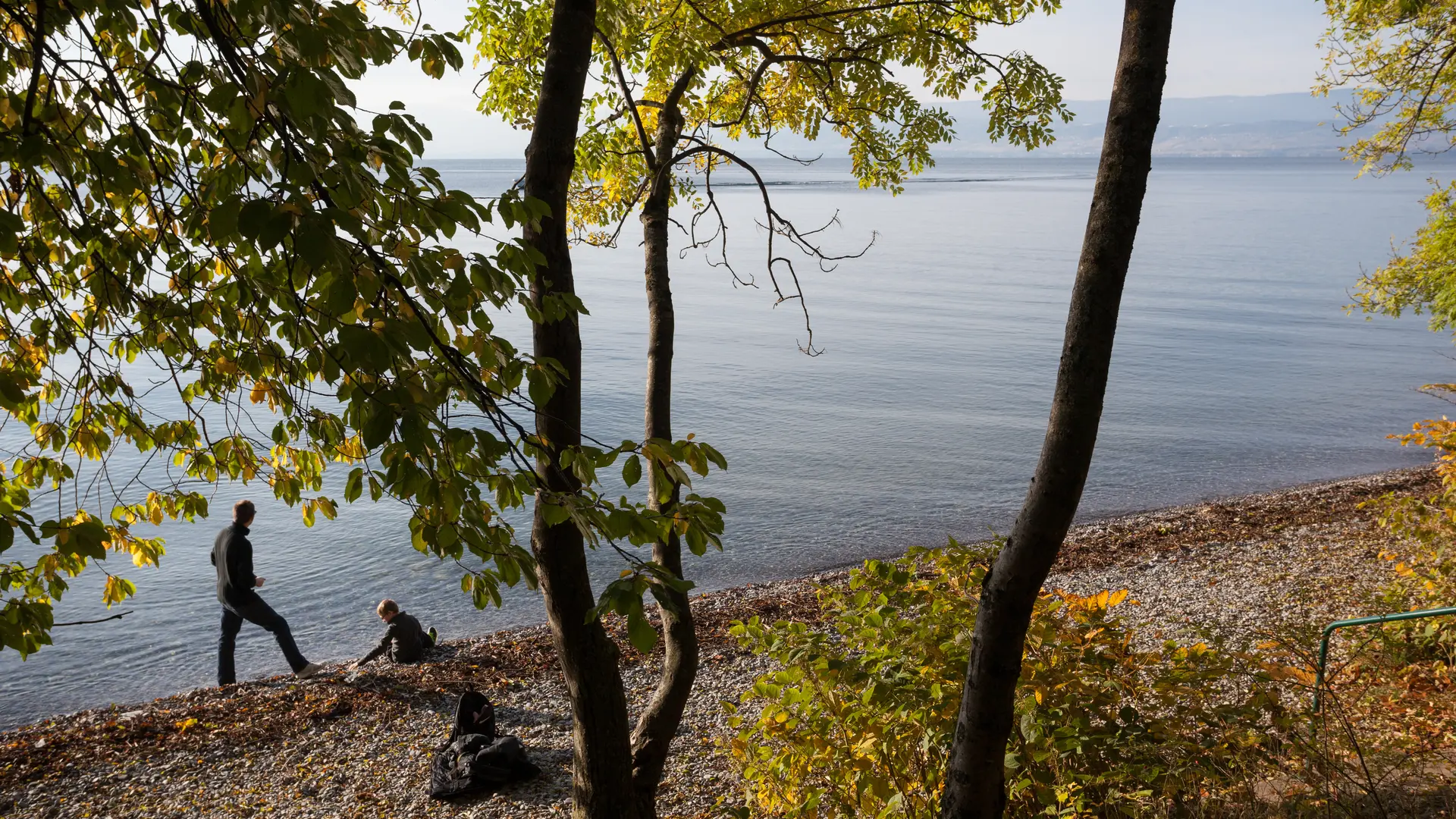 Sentier de la Pinede