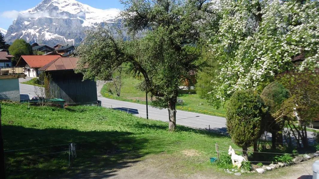 Vue depuis l'appartement