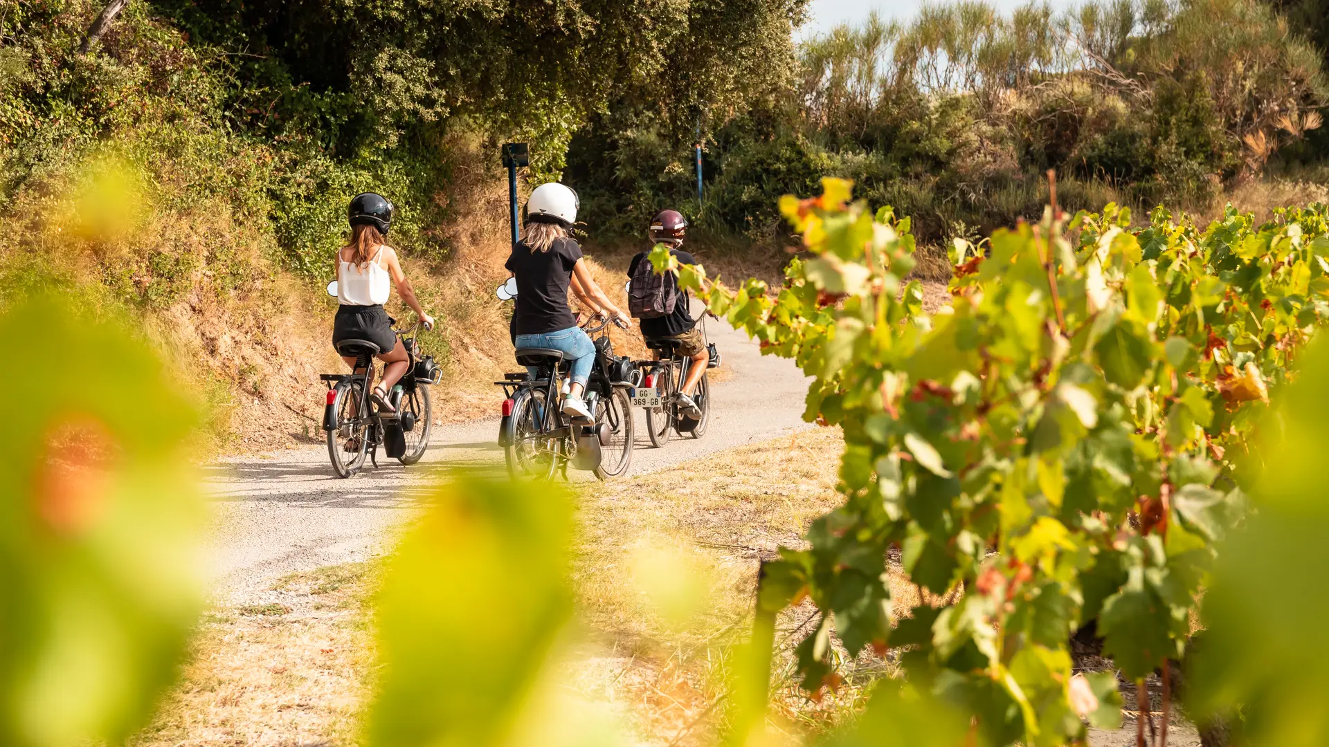 en solex dans les vignes