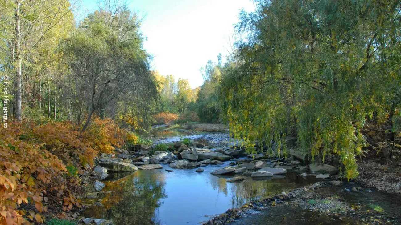 Entre sable et galets