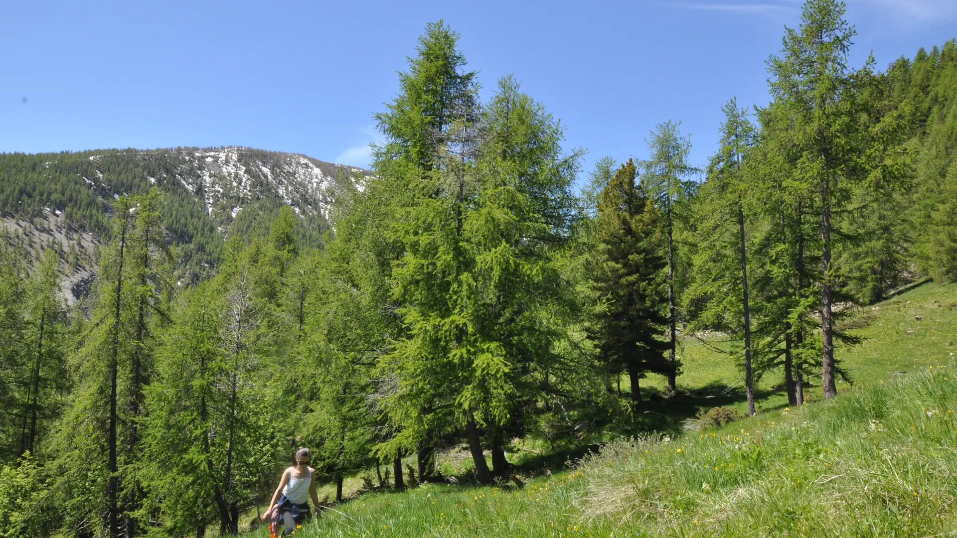 chemin de randonnée Amountagna Villars Colmars