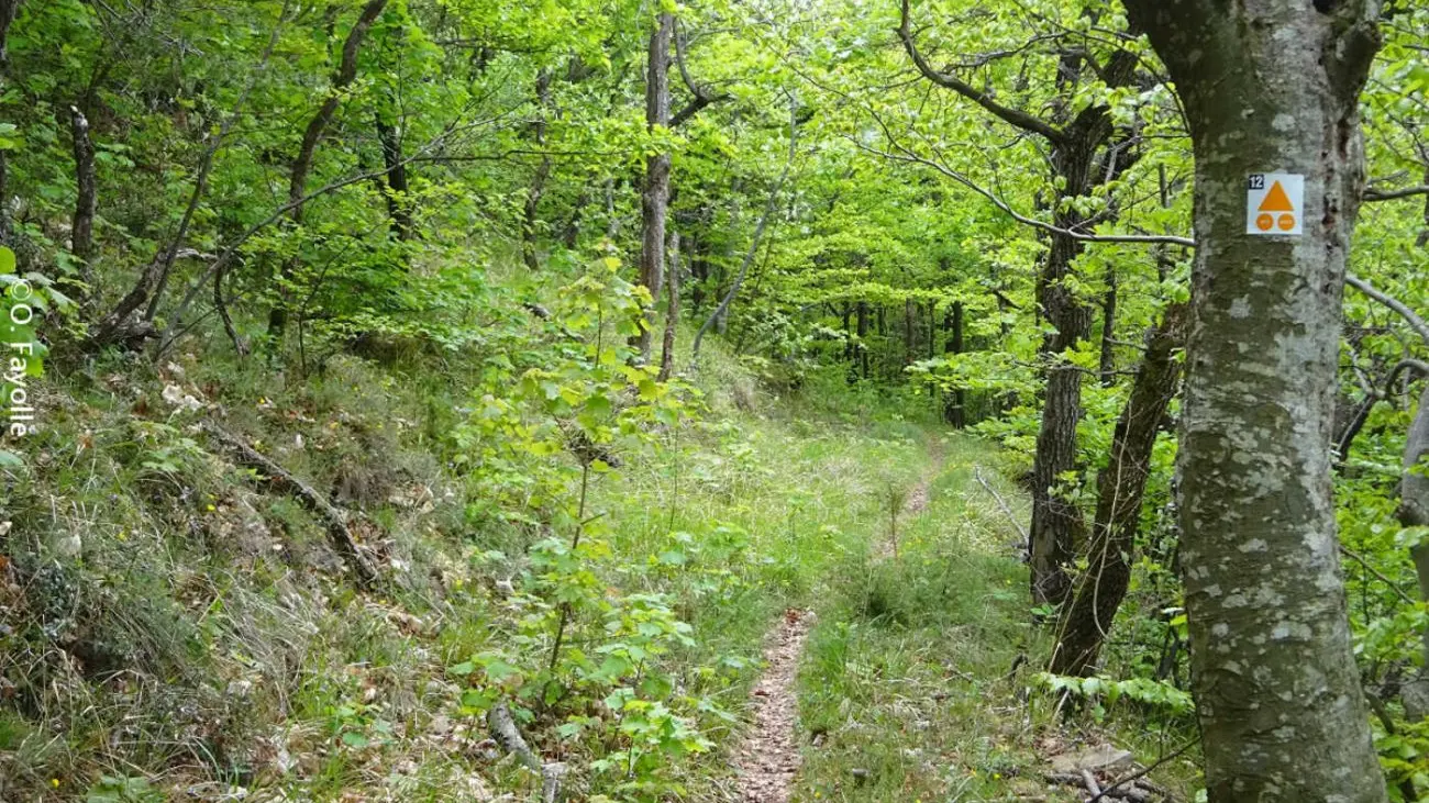 Entre bois et ravins