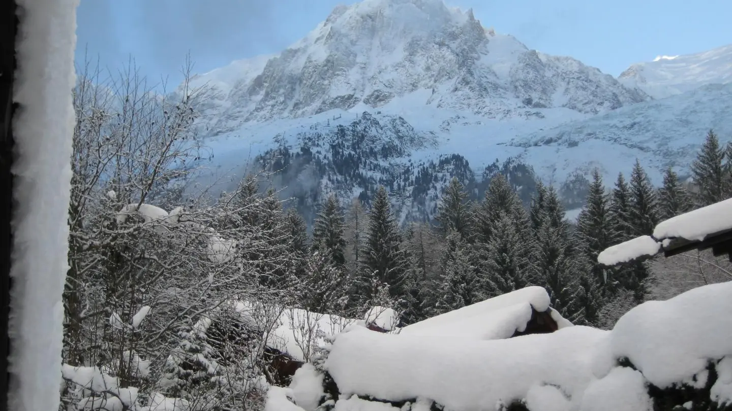 Vue depuis la terrasse l'hiver.
