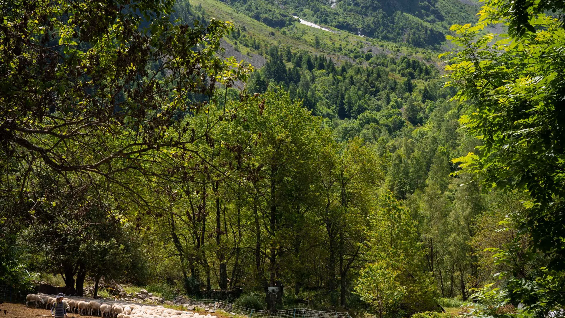 Randonnée dans le vallon de Prentiq Valgaudemar