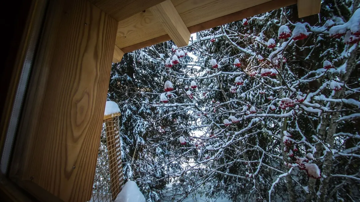 Cabane Romantique