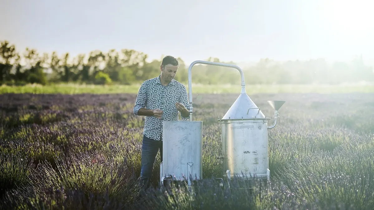 Un Mas en Provence