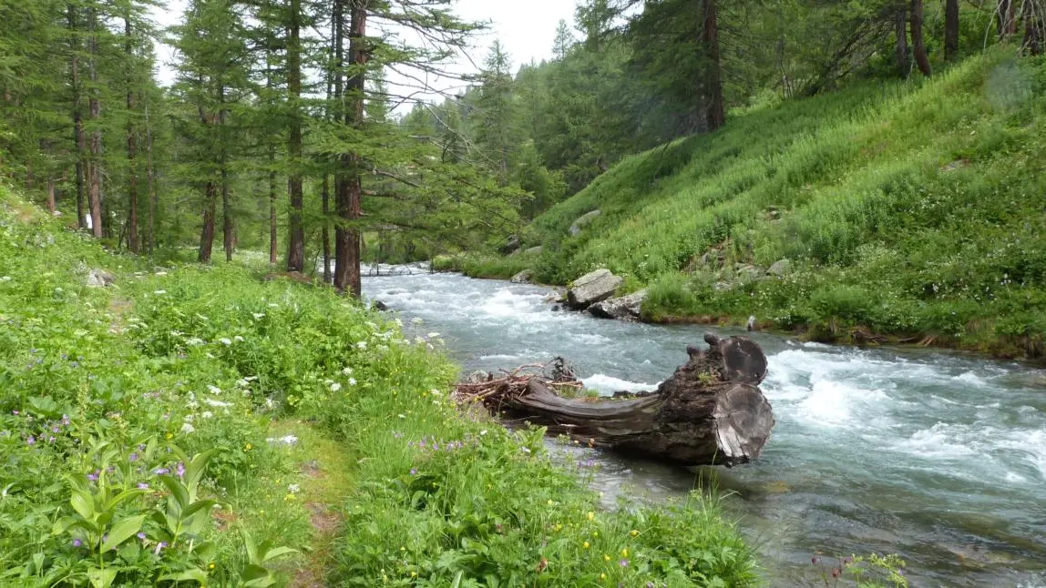 Pêche Hautes Alpes - Randonnée Clarée