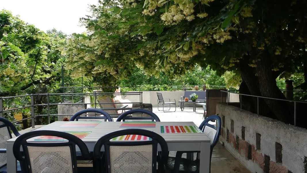 A l'ombre du tilleul