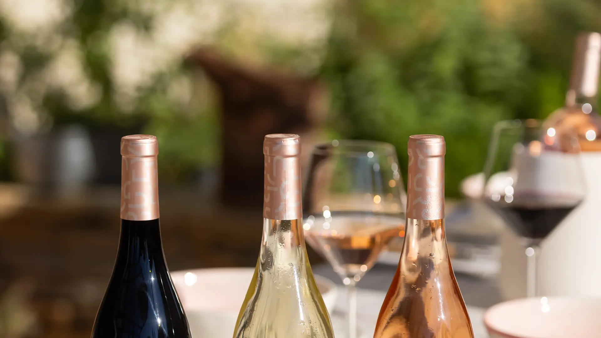 Les vignobles Gueissard