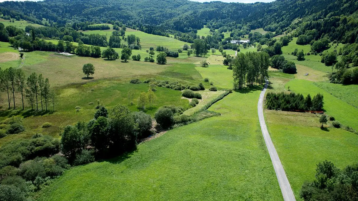 Marais du Nécuidet
