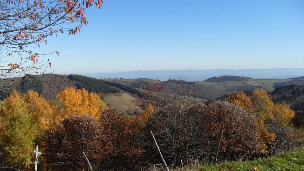 Les arbres ont mis leur parure flamboyante en cet automne 2015 .