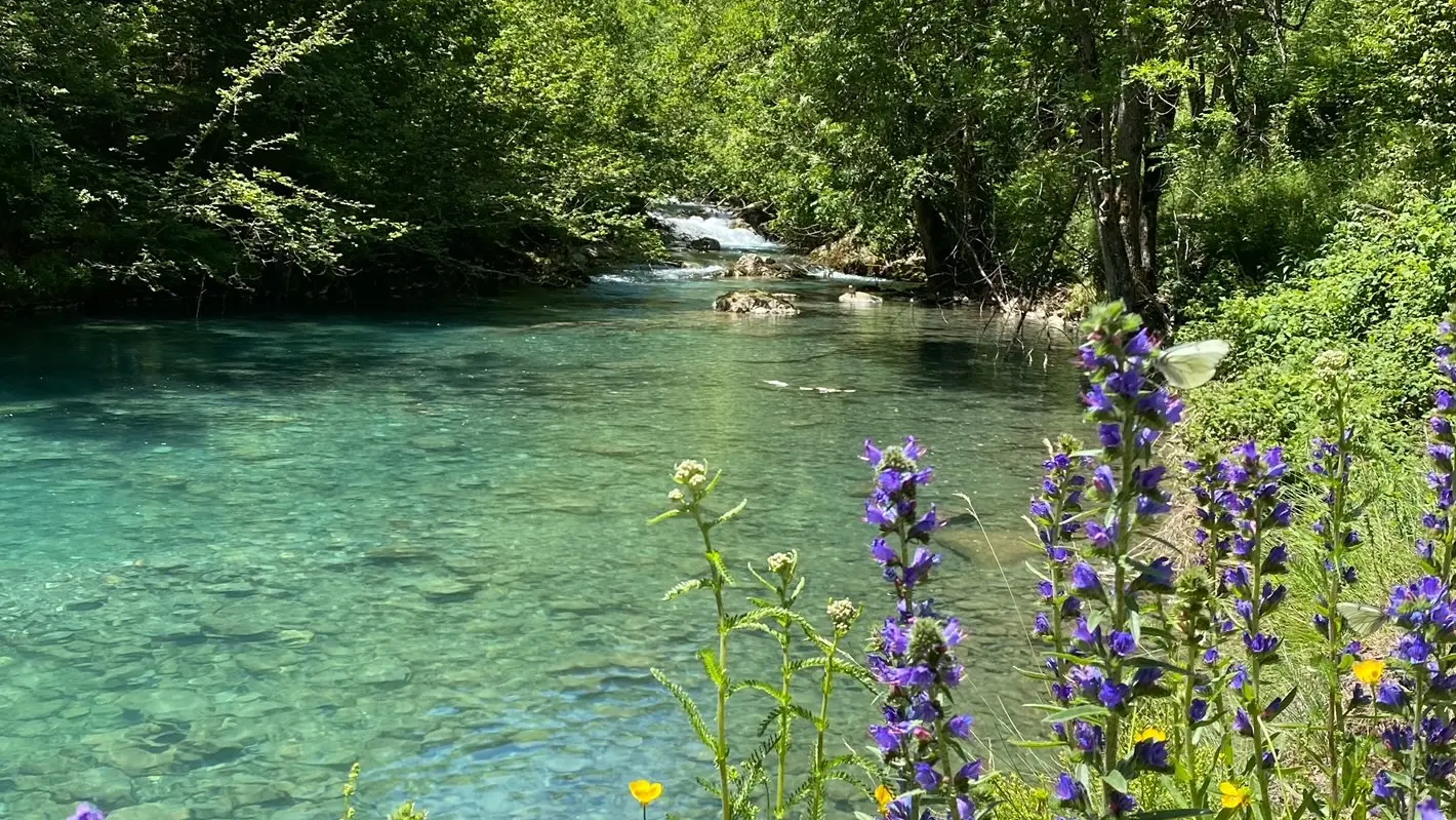 Ruisseau de l'Artigue