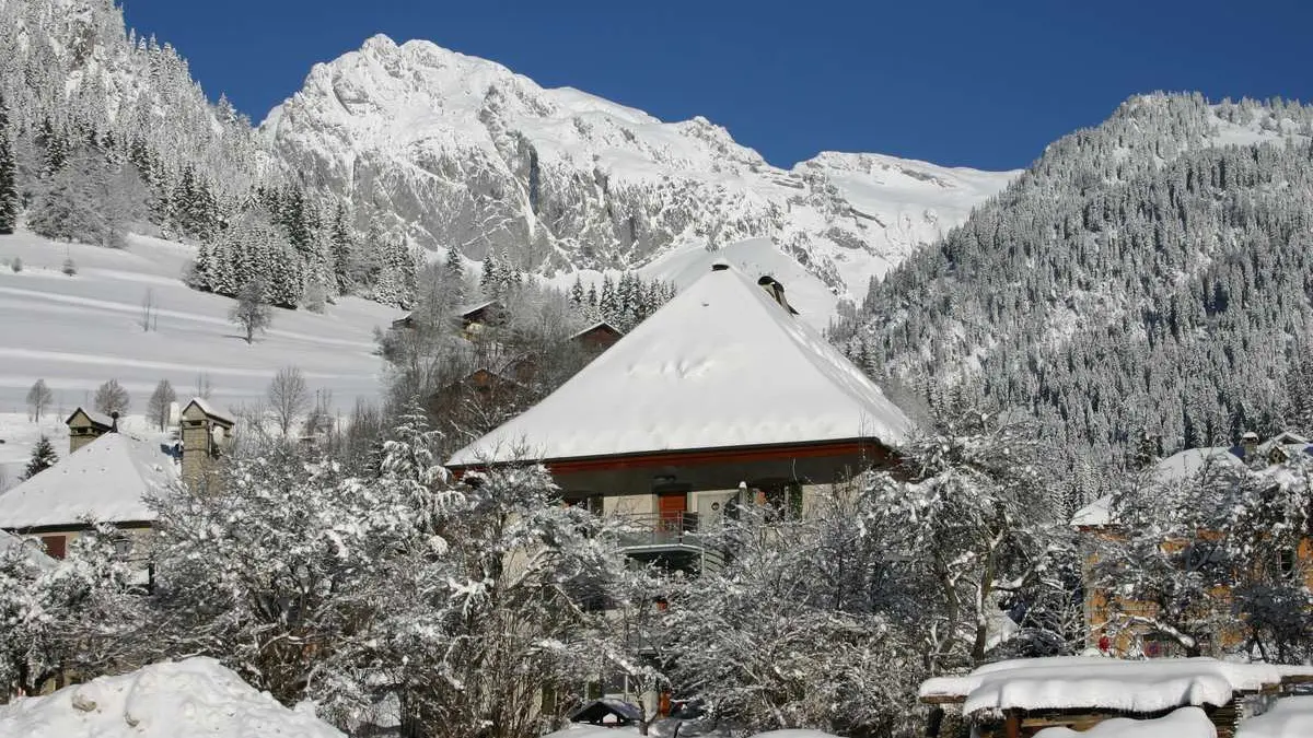 Vue arrière hiver