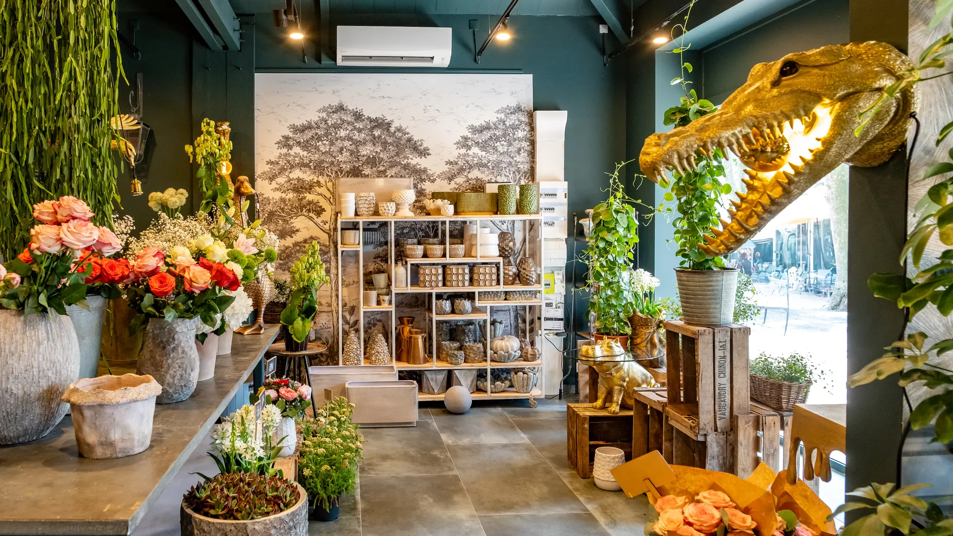 Magasin Carlotta
